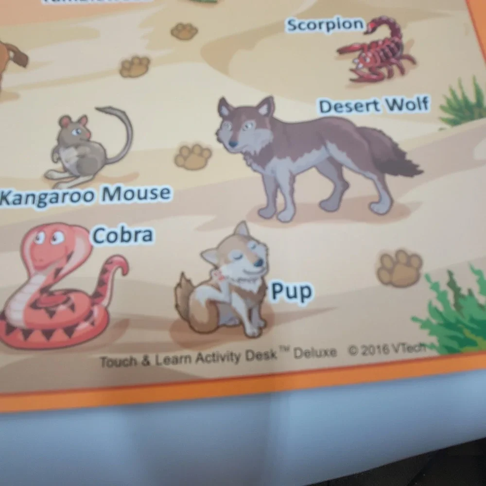 VTech Touch & Learn Activity Desk Deluxe Expansion Pack Animals Bugs Critters